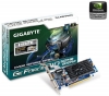 GIGABYTE GeForce 210 - 512 MB GDDR2 - PCI-Express 2.0 (GV-N210OC-512I) + Adapter HDMI weiblich / DVI-D mnnlich CG-281HQ - Connector gold + Kabel HDMI-Stecker / HDMI-Stecker - 2 m (MC380-2M) 